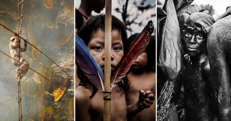 Huyền thoại Steve McCurry chấm giải AAP: Điều gì tạo nên một bức ảnh “trường tồn”?