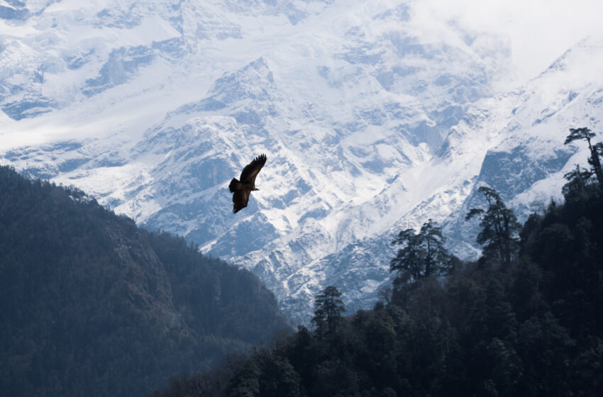  Tổng hợp các thiết bị máy chuyên dụng leo núi Himalaya